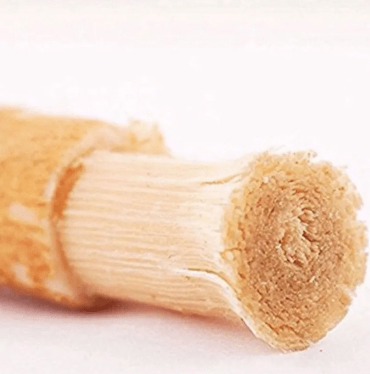 Miswak Tooth Cleaning Stick - The Closet